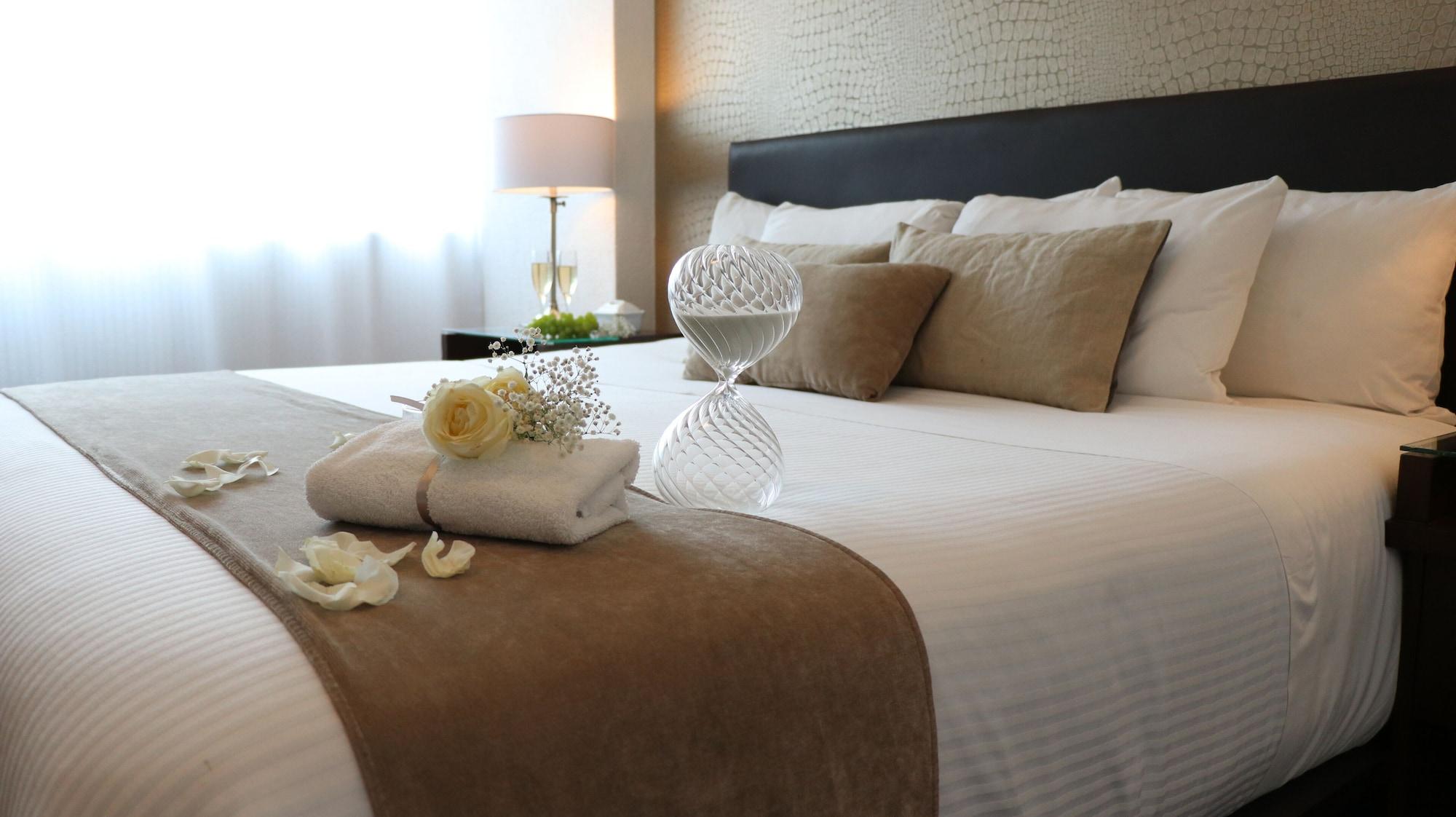 Hotel Meson Ejecutivo
