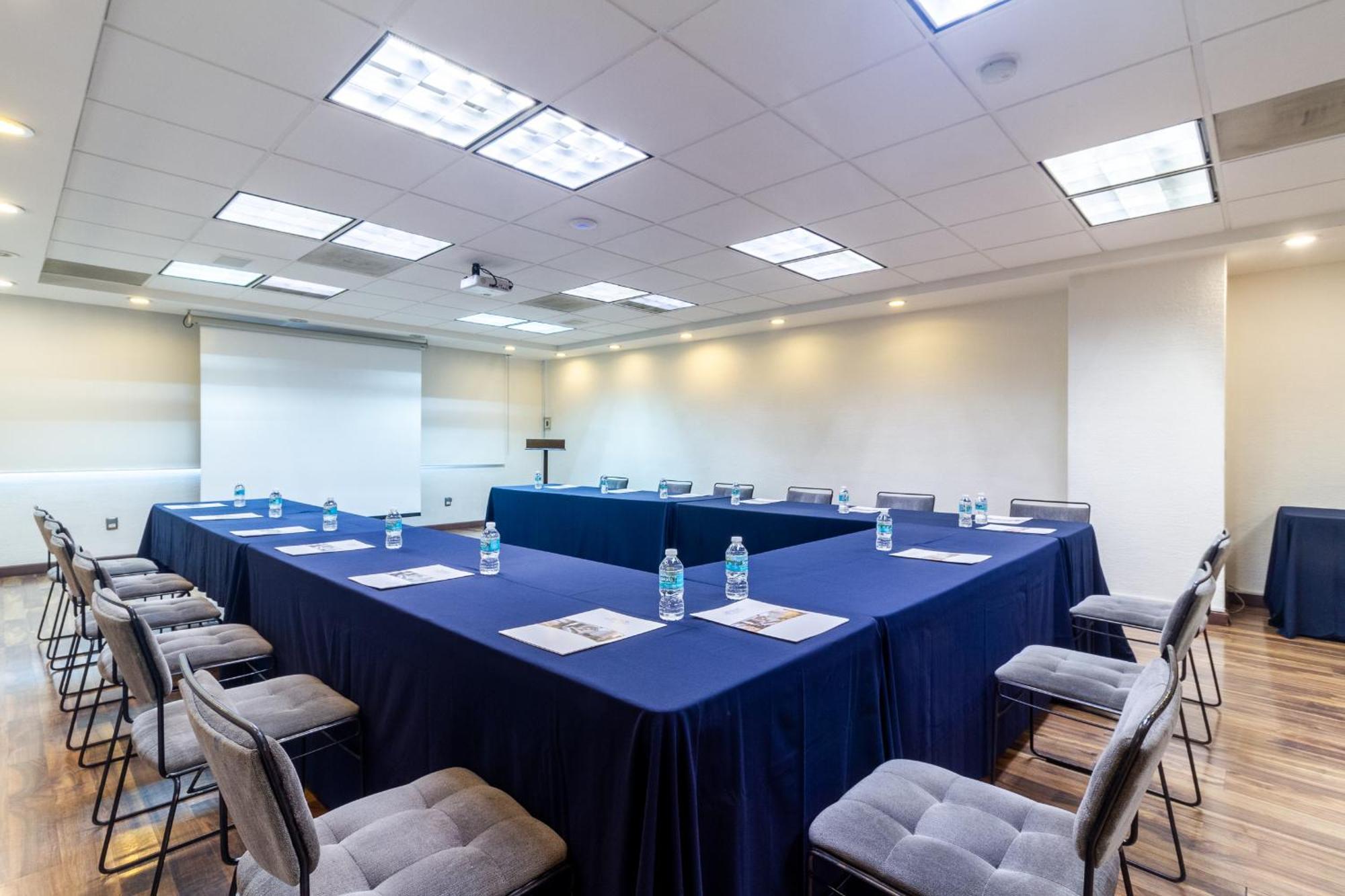 Meson Ejecutivo 4* Guadalajara