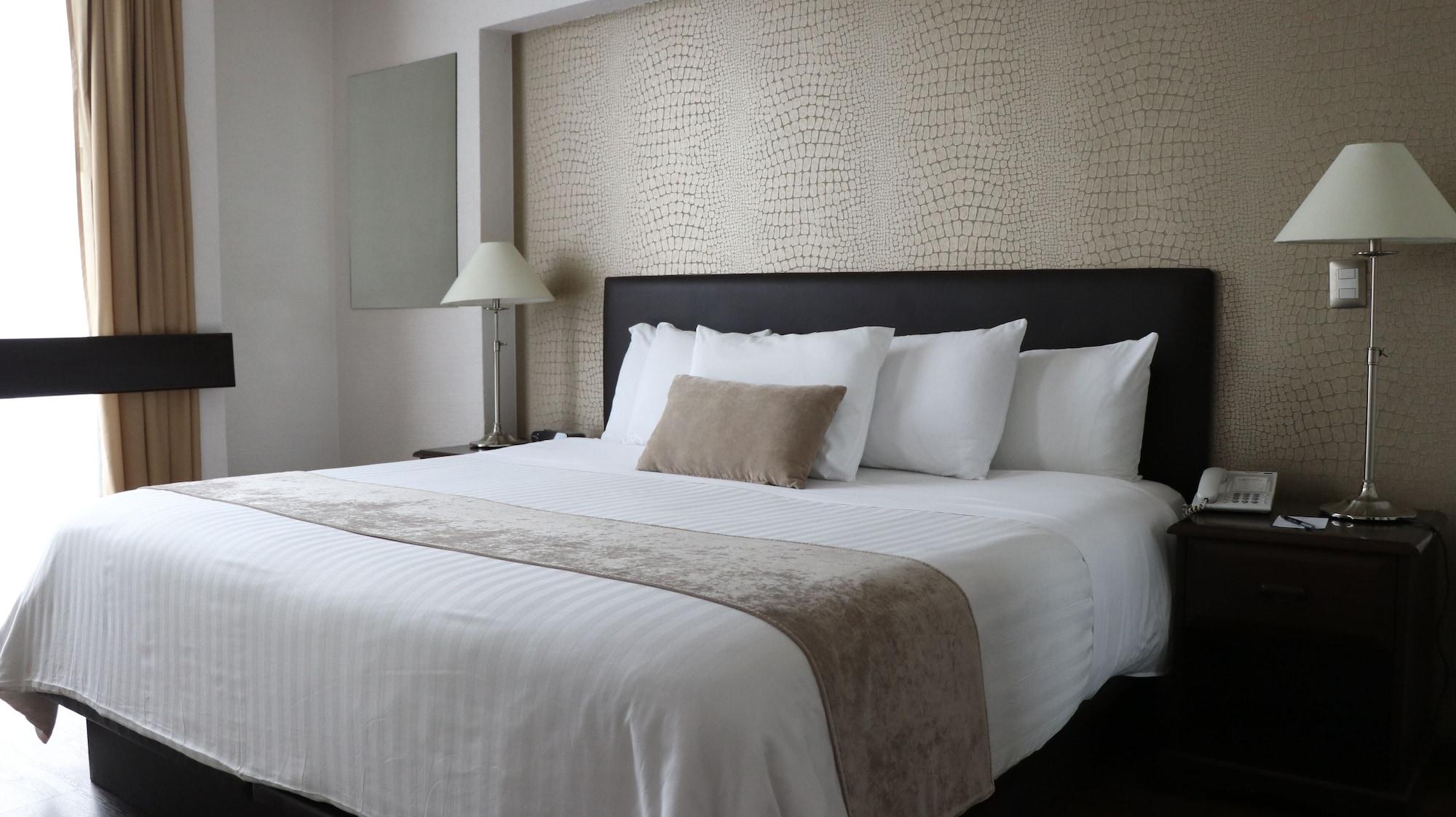 Meson Ejecutivo Hotel Guadalajara
